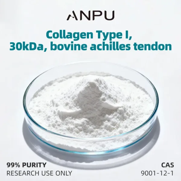 Collagen Type I,30kDa,bovine achilles tendon