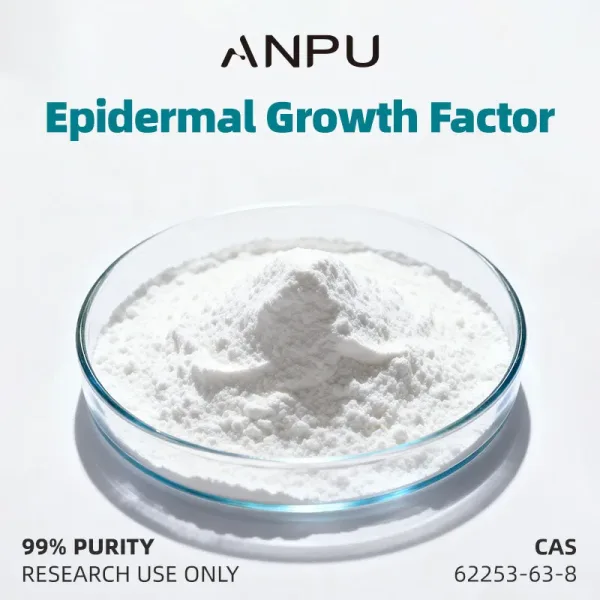 Epidermal Growth Factor
