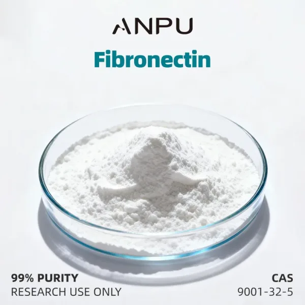 Fibronectin