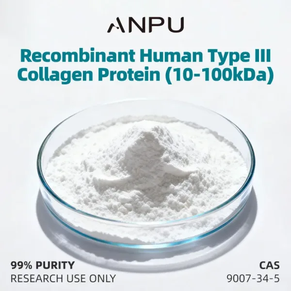 Recombinant Human Type II​I​​ Collagen Protein (10-100kDa)