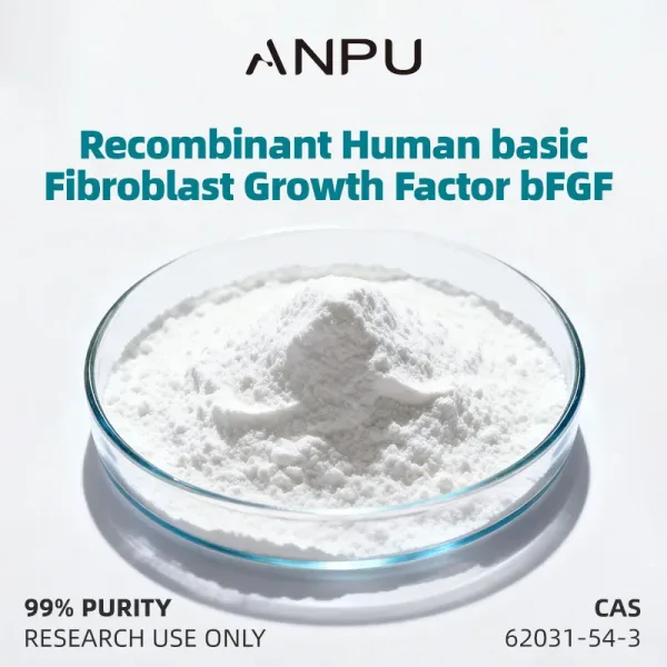 Recombinant Human basic Fibroblast Growth Factor bFGF